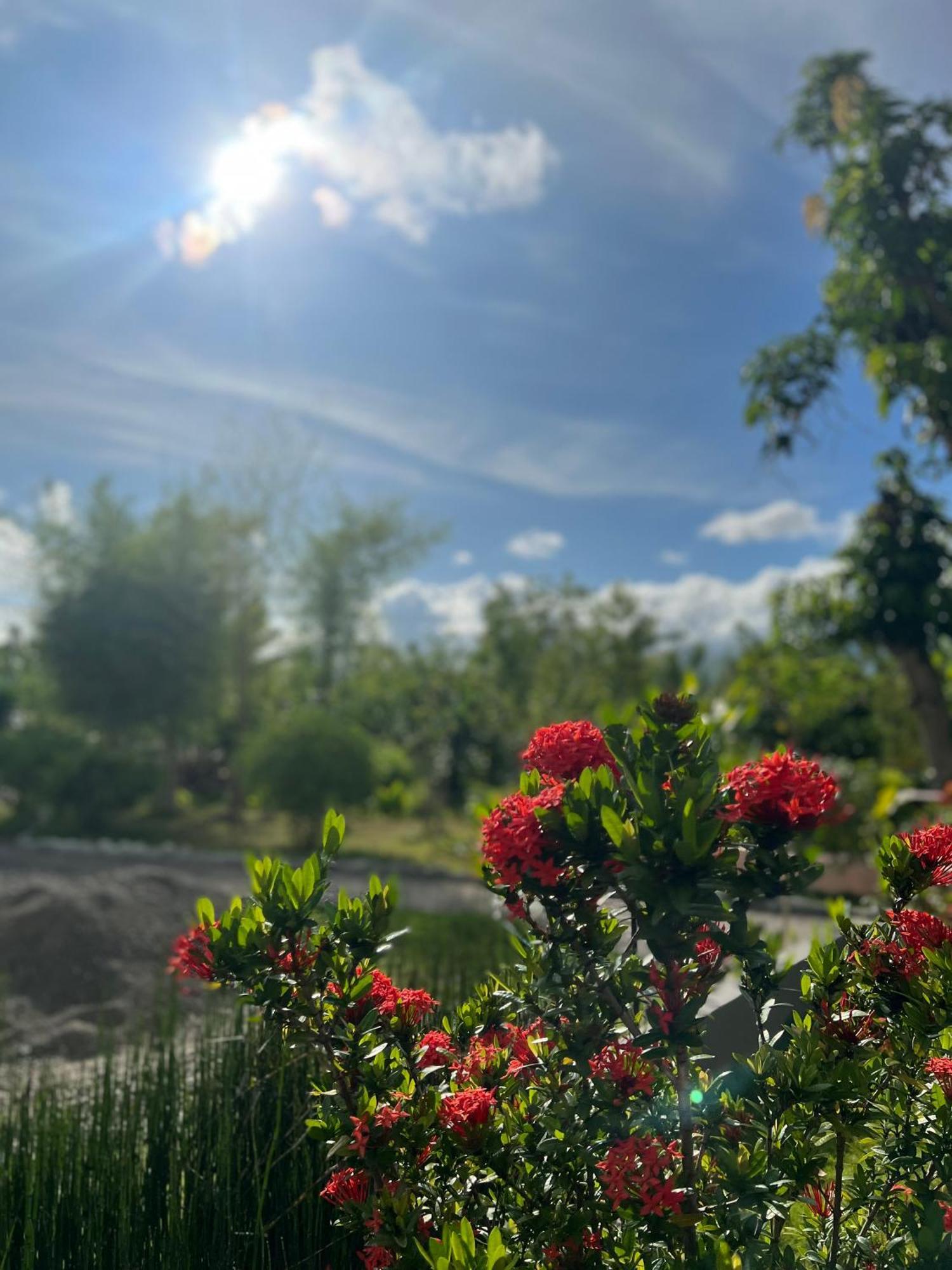 La Plumerias Moalboal Zewnętrze zdjęcie
