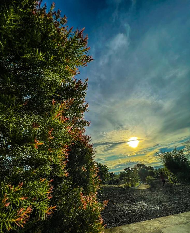 La Plumerias Moalboal Zewnętrze zdjęcie