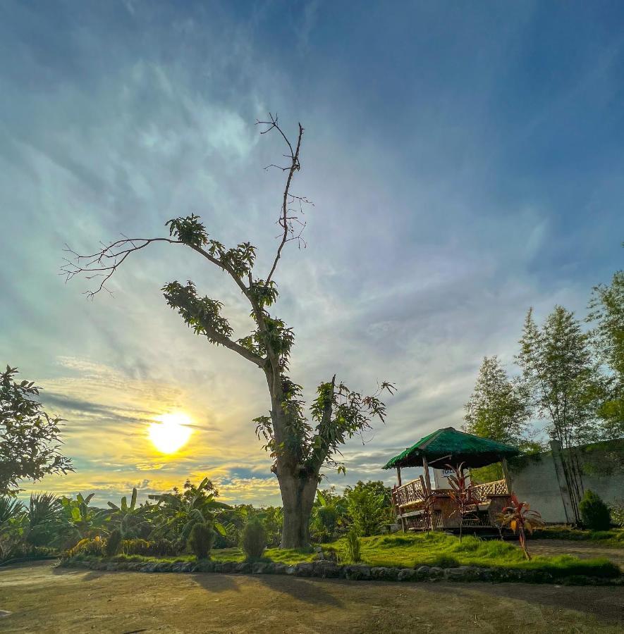 La Plumerias Moalboal Zewnętrze zdjęcie