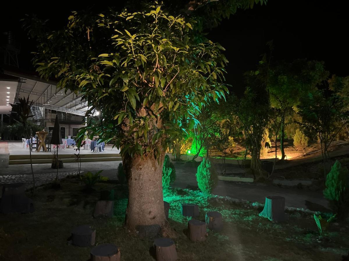 La Plumerias Moalboal Zewnętrze zdjęcie