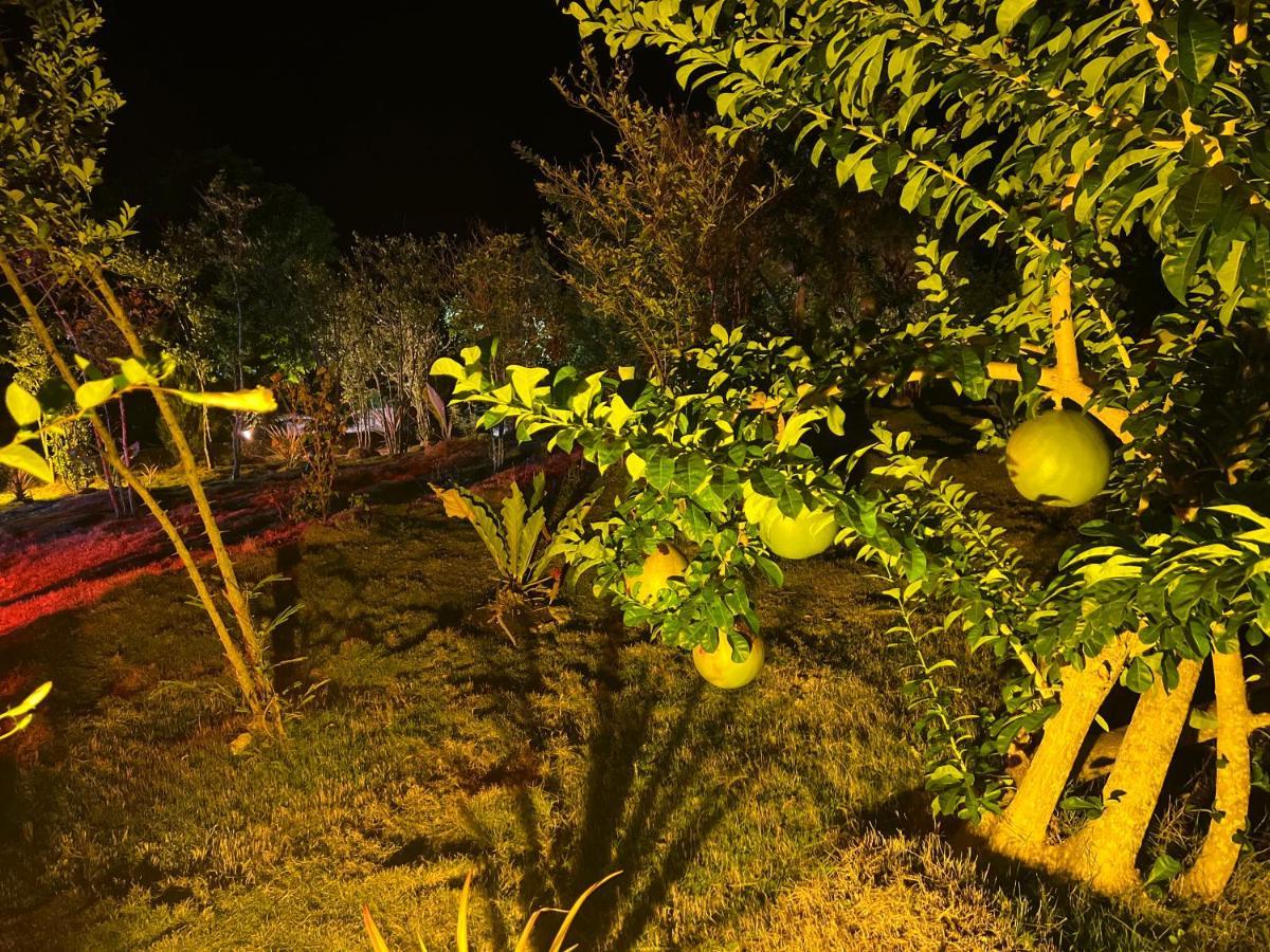 La Plumerias Moalboal Zewnętrze zdjęcie