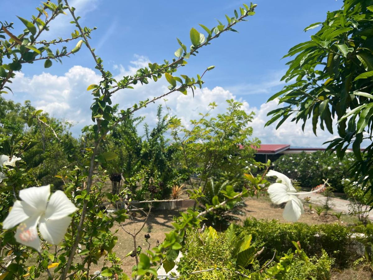 La Plumerias Moalboal Zewnętrze zdjęcie
