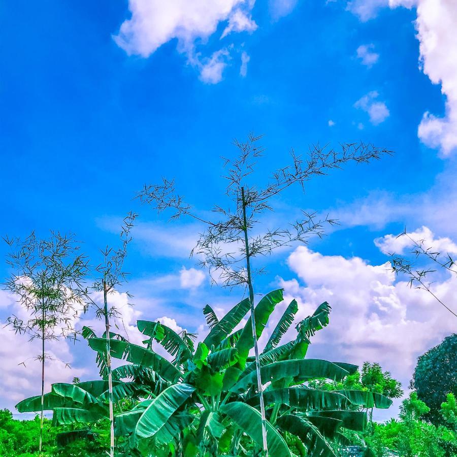 La Plumerias Moalboal Zewnętrze zdjęcie